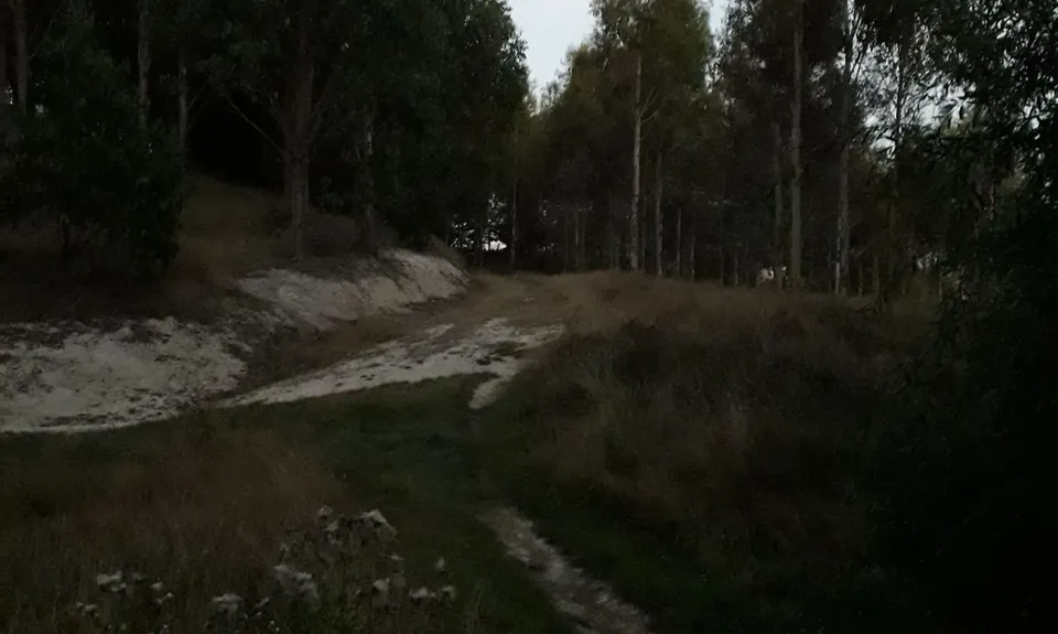 The Dragon amongst the Gums, Hawkes Bay