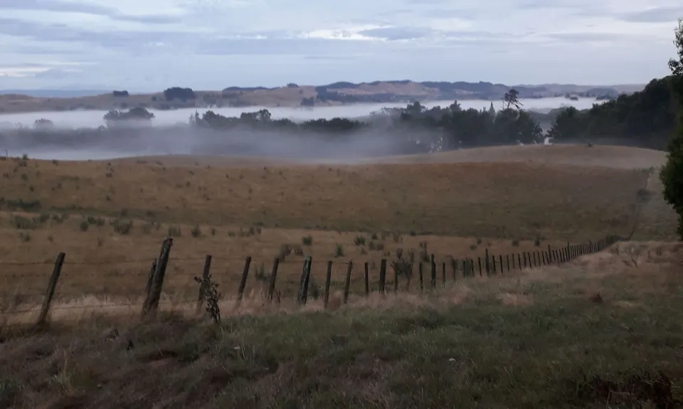 The Dragon amongst the Gums, Hawkes Bay