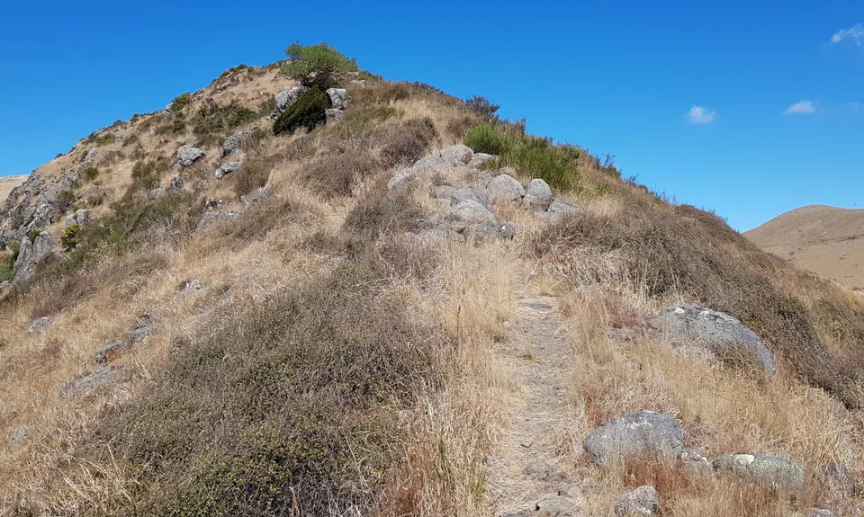 Tussock Hill Ridge, Canterbury