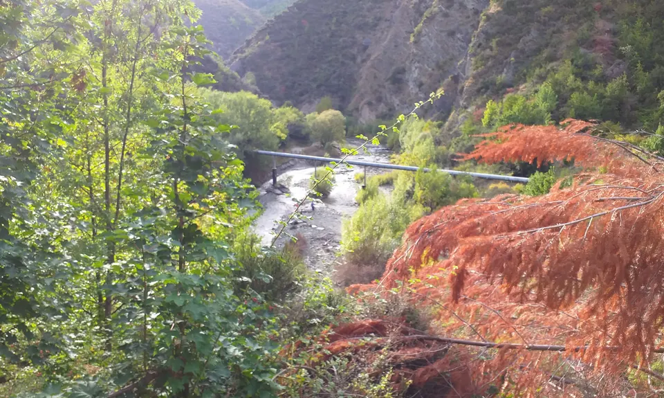 Miners Trail, Otago