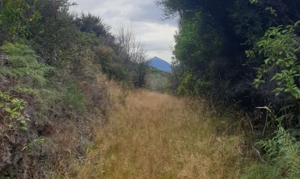 Pigeon Island Loop, Otago