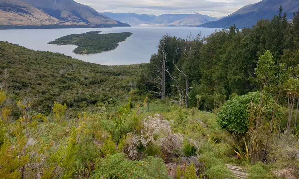 Pigeon Island Loop, Otago