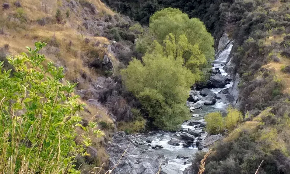 Miners Trail, Otago