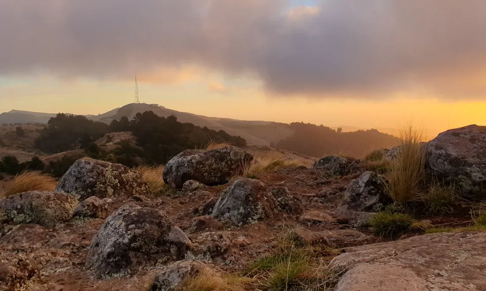 Bowenvale / Huntsbury Loop, Canterbury