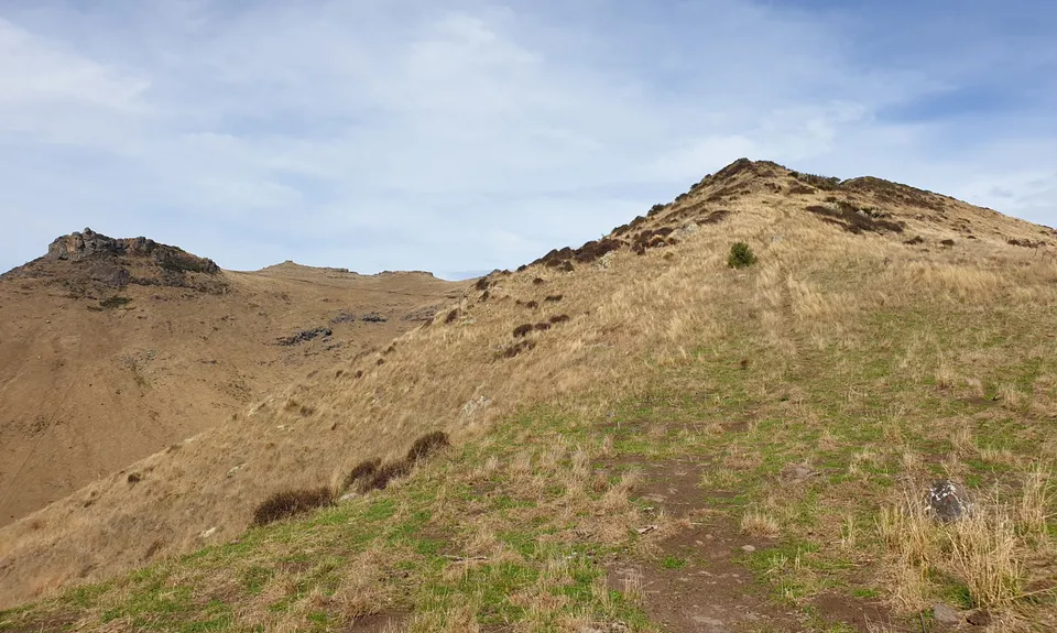 Tussock Hill Ridge, Canterbury