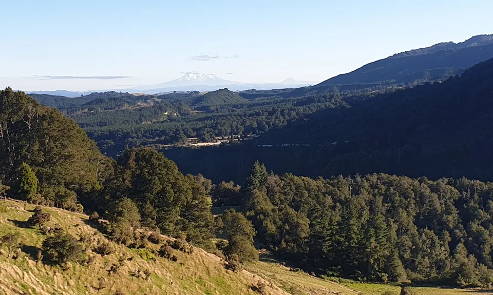 Iron Gate Hut to Tunupo High Point Loop, Manawatu - Wanganui