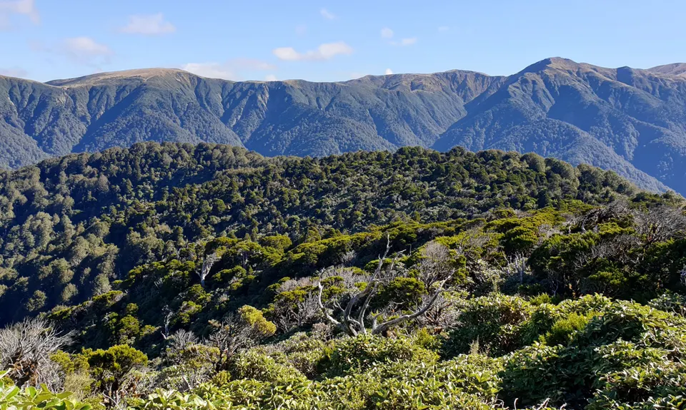 Iron Gate Hut to Tunupo High Point Loop, Manawatu - Wanganui