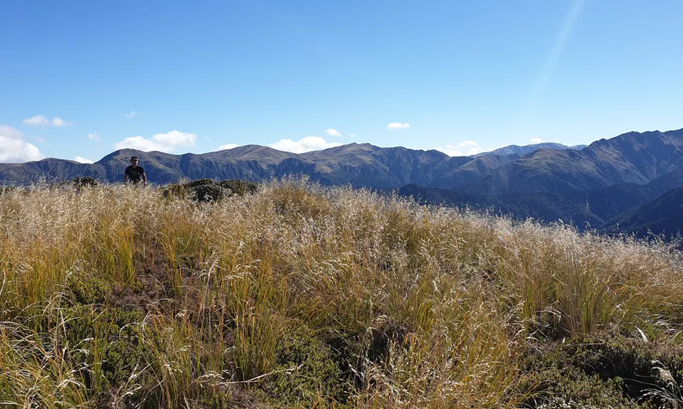 Iron Gate Hut to Tunupo High Point Loop, Manawatu - Wanganui