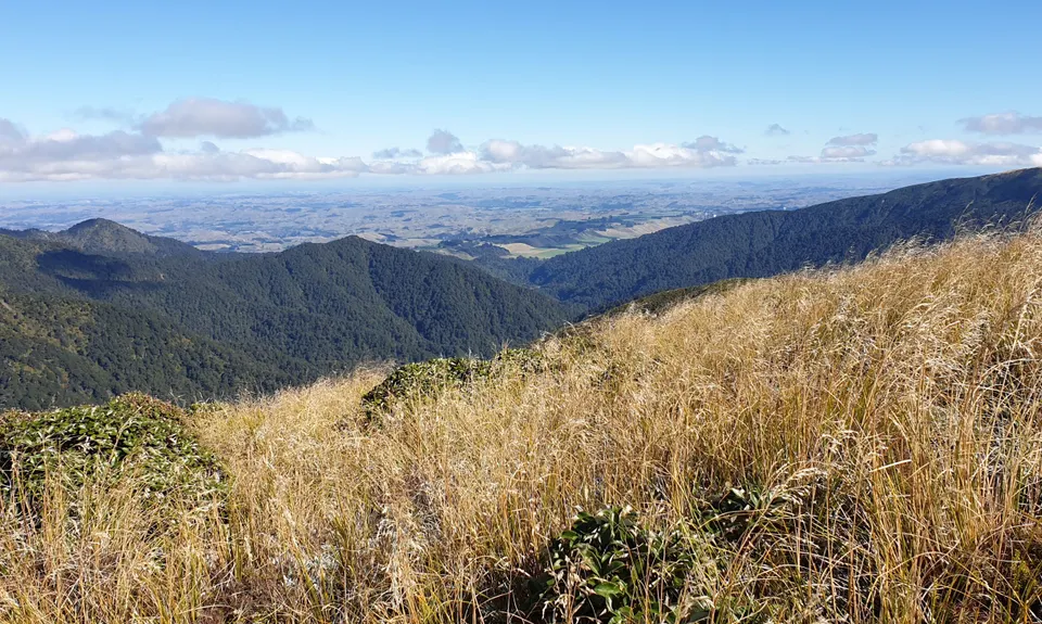 Iron Gate Hut to Tunupo High Point Loop, Manawatu - Wanganui