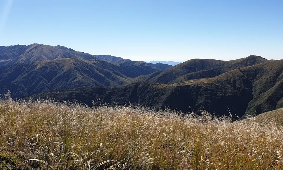 Iron Gate Hut to Tunupo High Point Loop, Manawatu - Wanganui