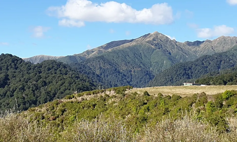 Iron Gate Hut to Tunupo High Point Loop, Manawatu - Wanganui