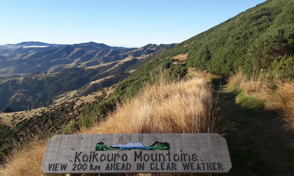 Purple Peak Pilgrimage, Canterbury