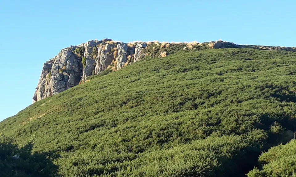 Purple Peak Pilgrimage, Canterbury