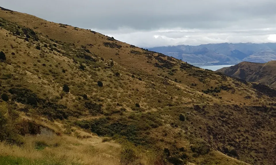 Big Breast Loop, Otago