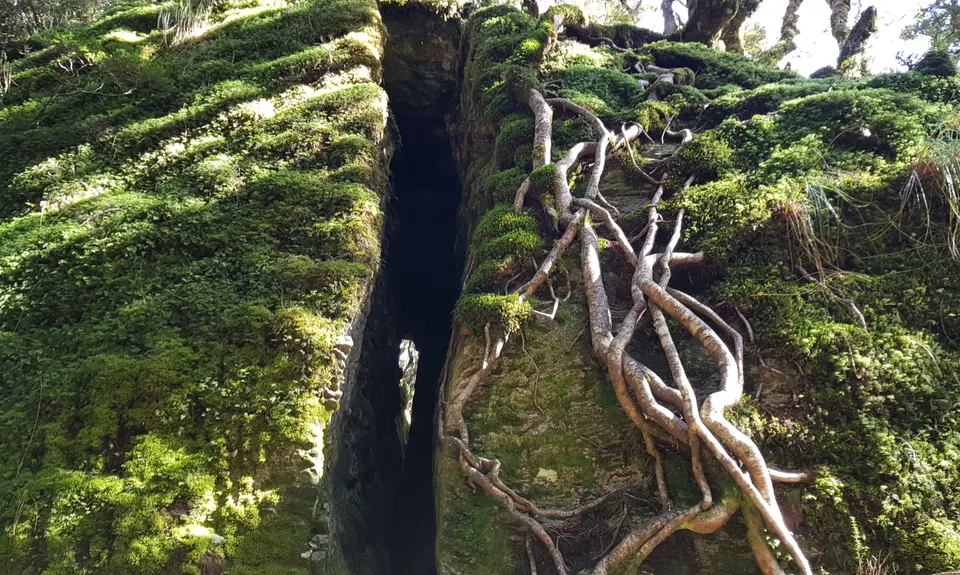 The Routeburn , Southland
