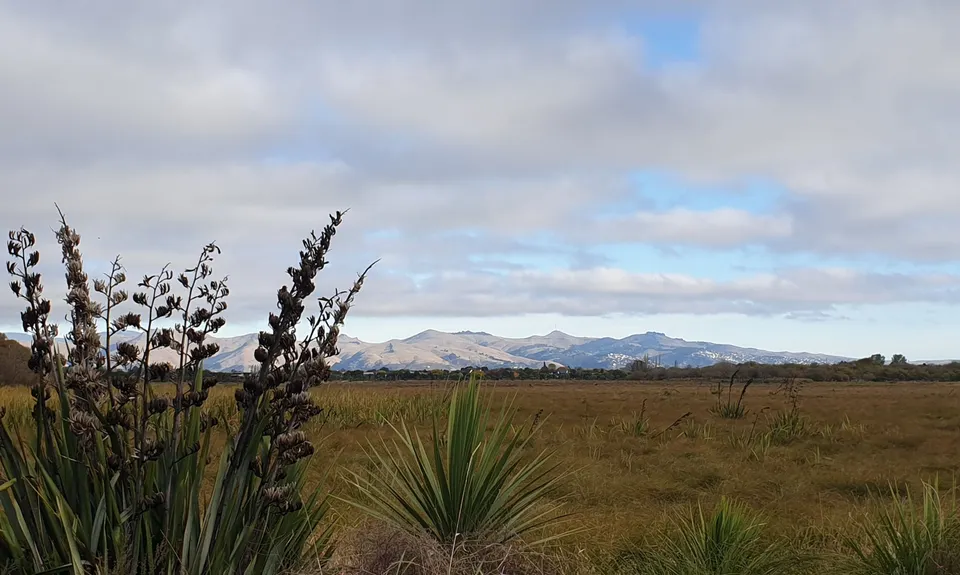 Travis Wetland Loop, Canterbury