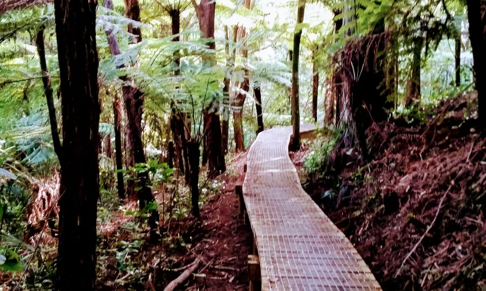 Eskdale Outer Loopypop, Auckland