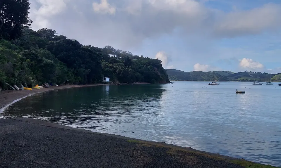 Waiheke Bush & Beach , Auckland