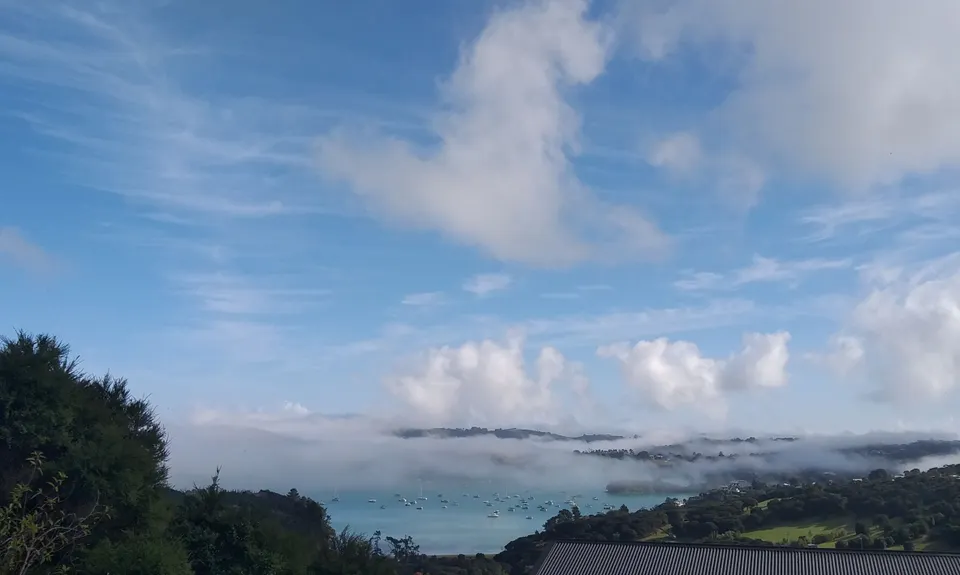 Waiheke Bush & Beach , Auckland