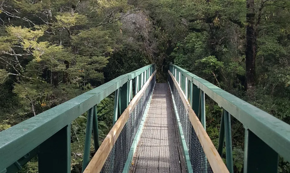 Hooper Loop - Mt Holdsworth, Wellington