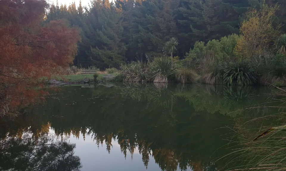 Bottle Lake Blue Loop, Canterbury