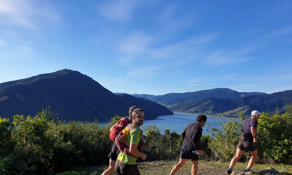 Havelock to Picton Link Pathway, Marlborough