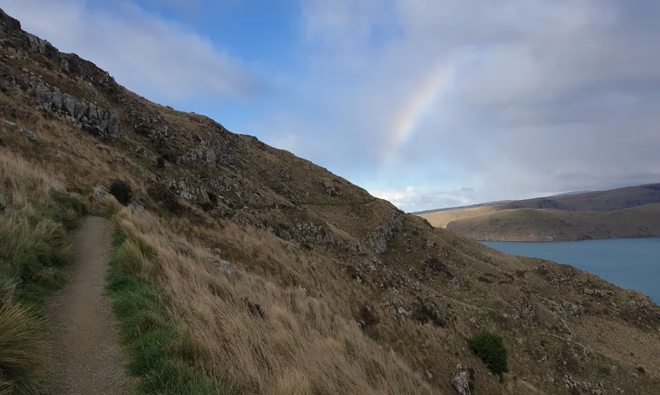 Godley Head loop, Canterbury