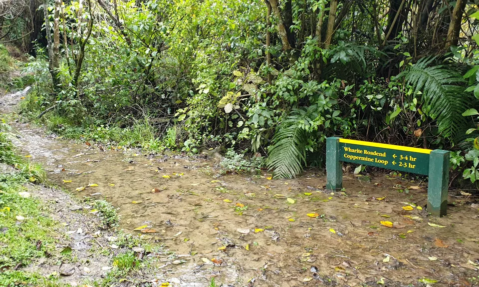 Coppermine Loop & Mine, Manawatu - Wanganui
