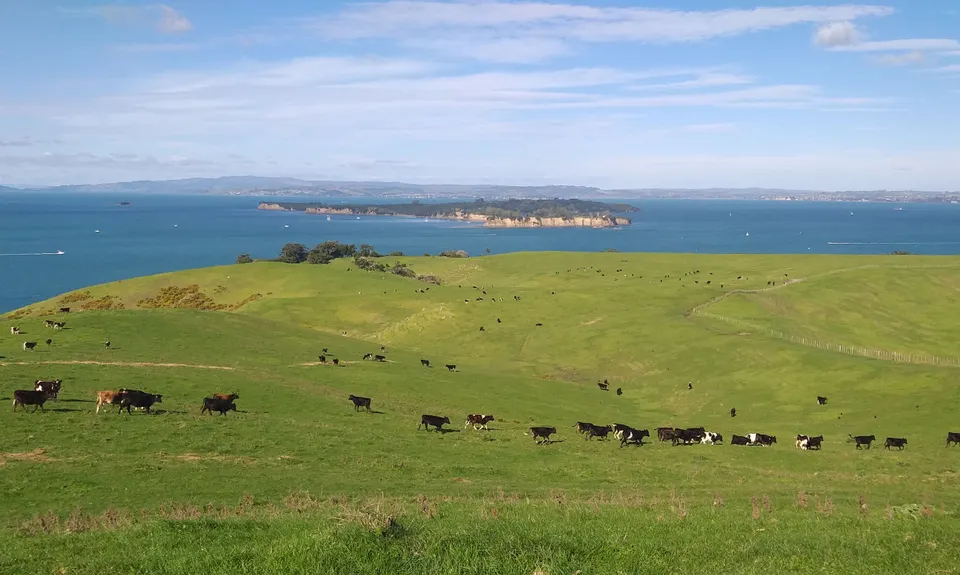 Rangitoto - Motutapu Double , Auckland