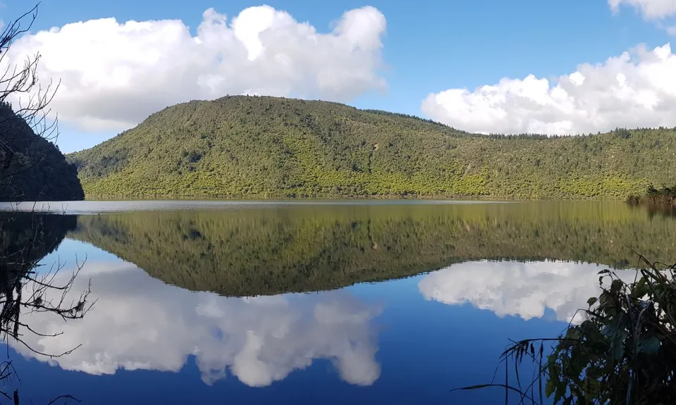 Whakarewarewa Circuit - the Black Track, Bay of Plenty
