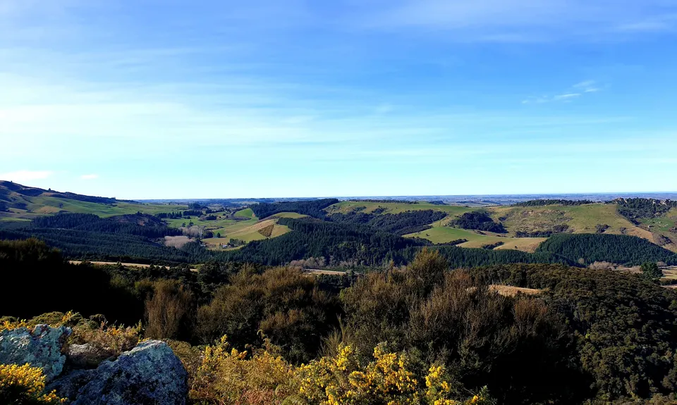 Kakahu Bush Reserve, Canterbury