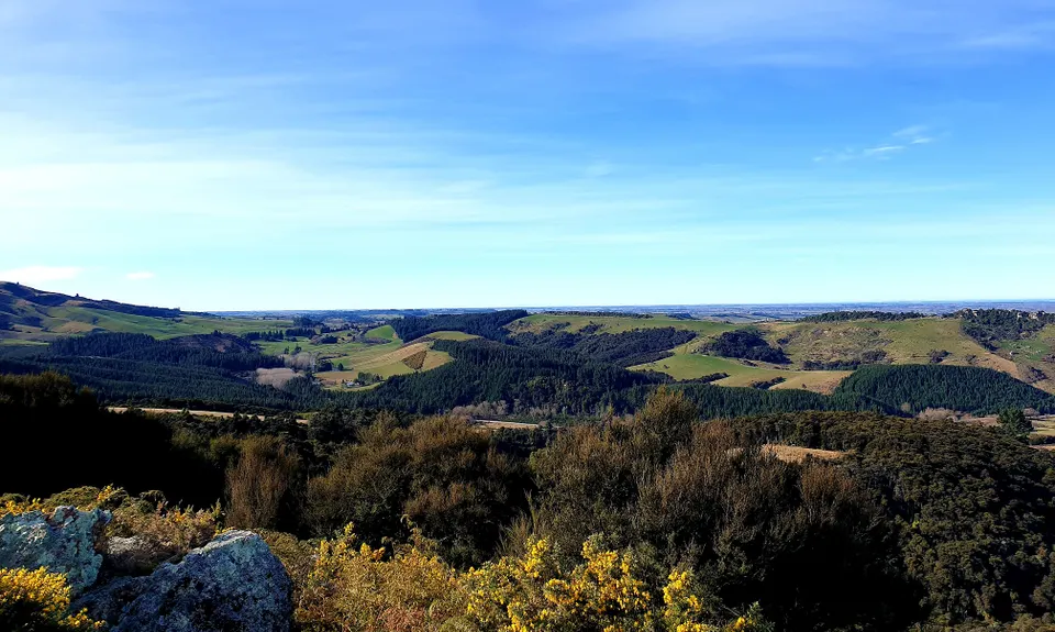 Kakahu Bush Reserve, Canterbury