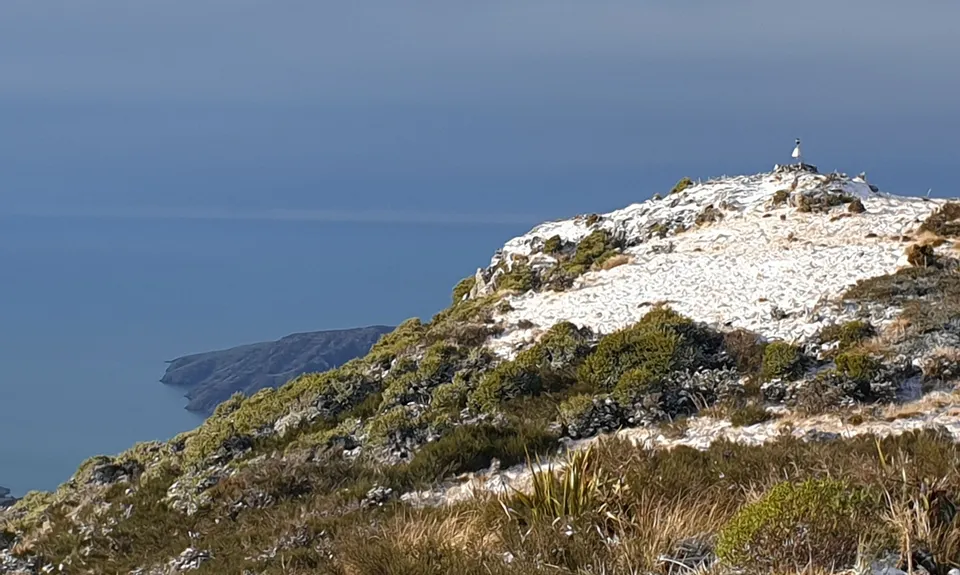 Mt Fitzgerald & Mt Sinclair , Canterbury