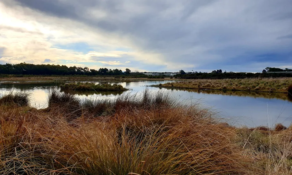 Timaru City Parks, Canterbury