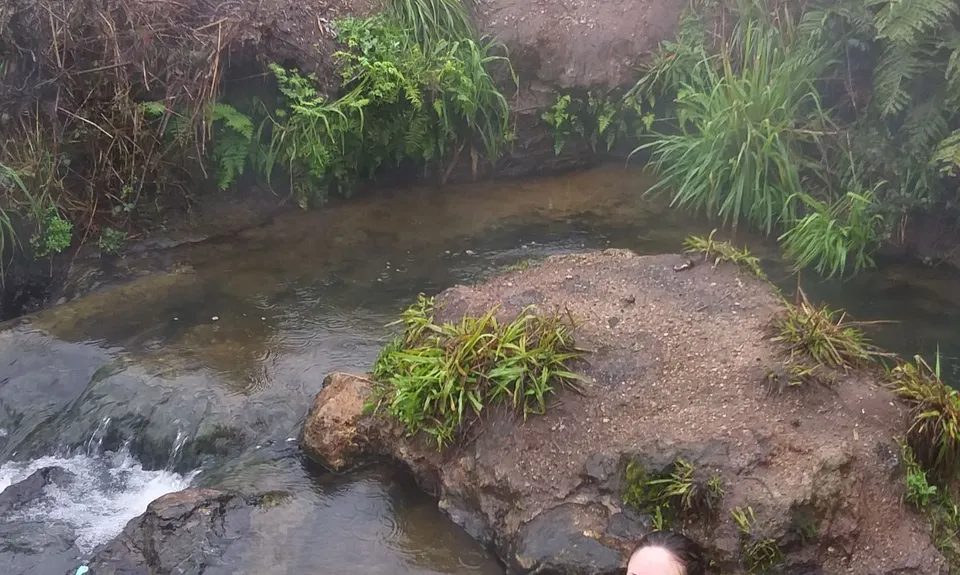 Taupo to Huka Falls Loop, Waikato