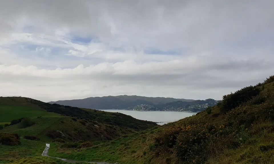 Whitireia Circuit, Wellington