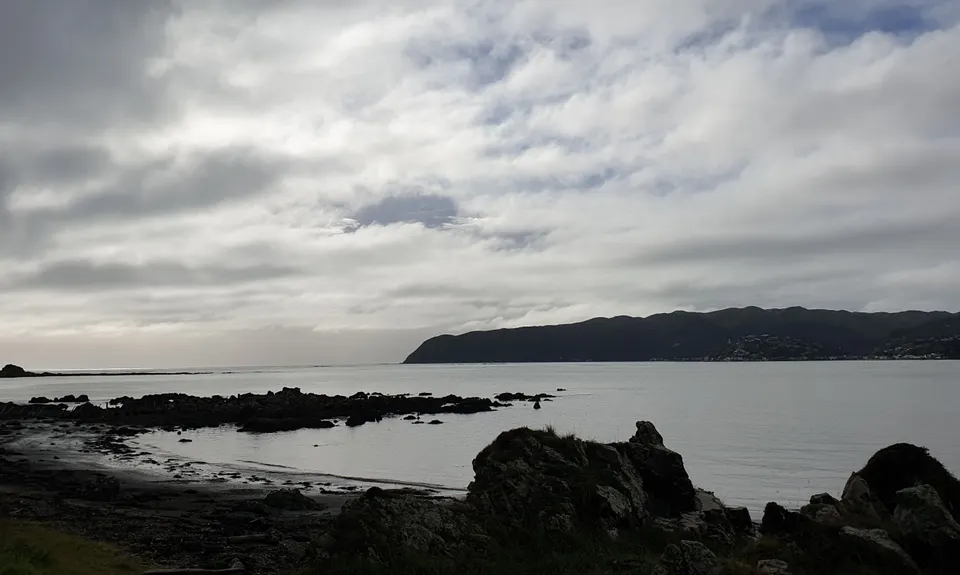 Whitireia Circuit, Wellington