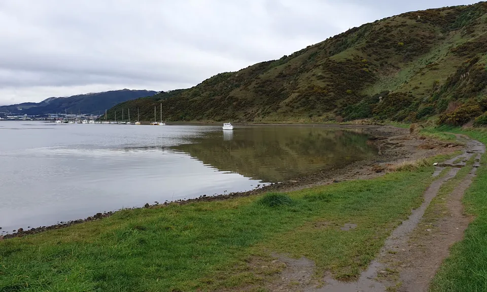 Whitireia Circuit, Wellington