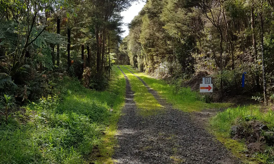 Hunua Hustle, Auckland