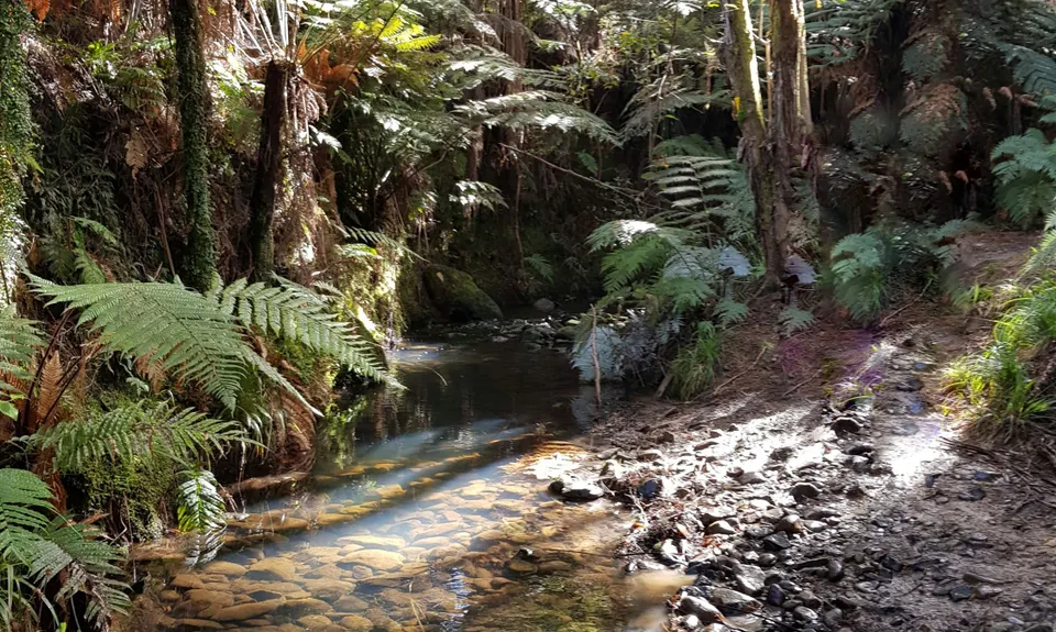Hunua Hustle, Auckland