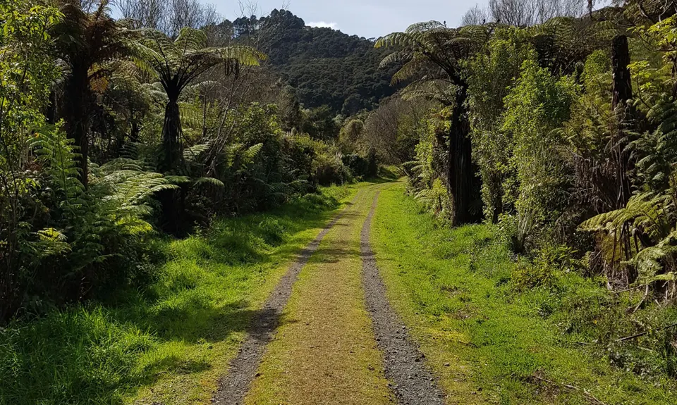 Hunua Hustle, Auckland