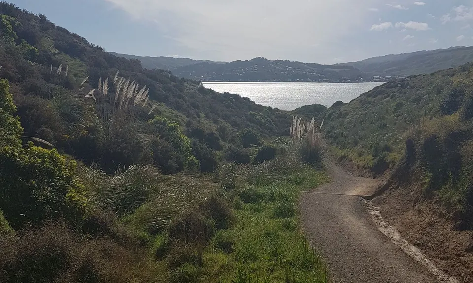 Whitireia Circuit, Wellington