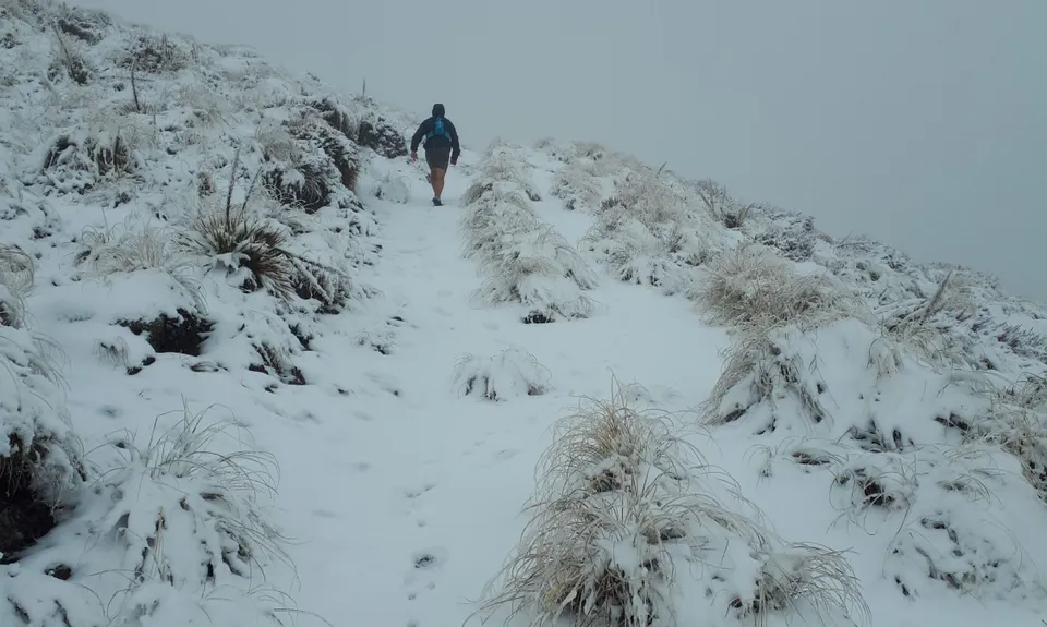 Mt Nimrod Easement Track, Canterbury