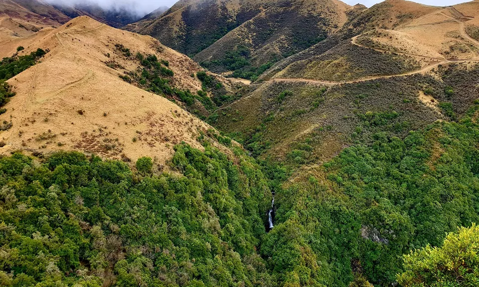 Mt Nimrod Easement Track, Canterbury