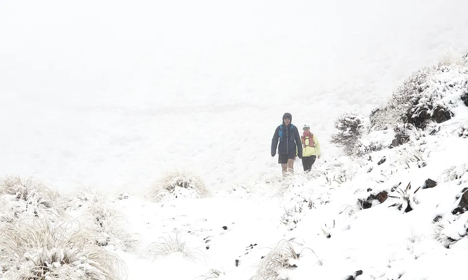Mt Nimrod Easement Track, Canterbury