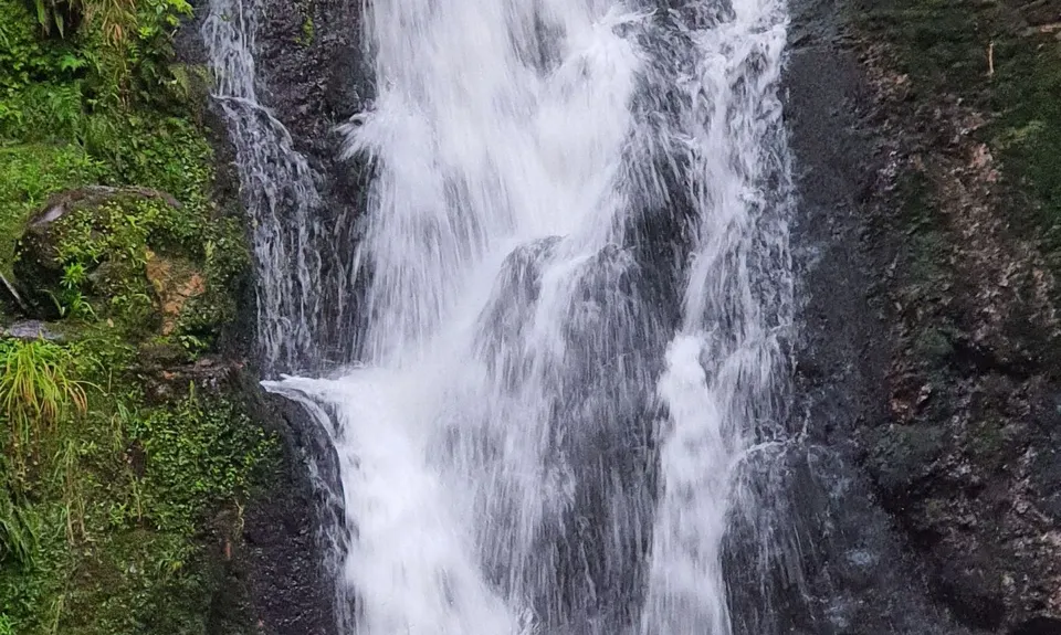 Otainewainuku - Whataroa Falls, Bay of Plenty