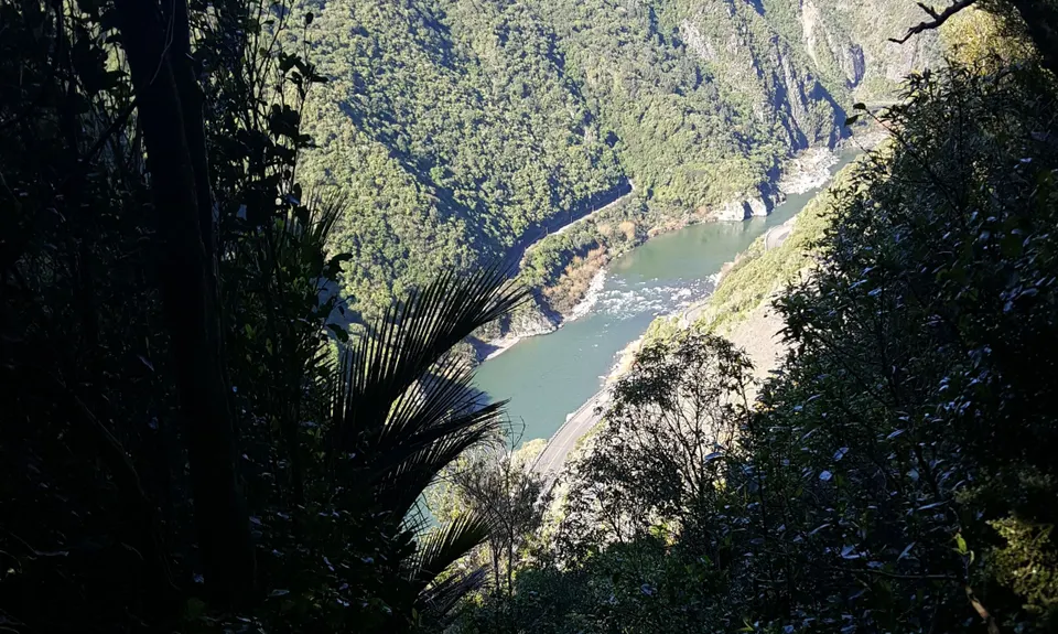 Tawa Loop - Manawatu Gorge, Manawatu - Wanganui