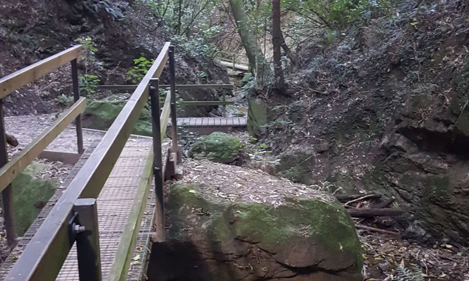 Tawa Loop - Manawatu Gorge, Manawatu - Wanganui