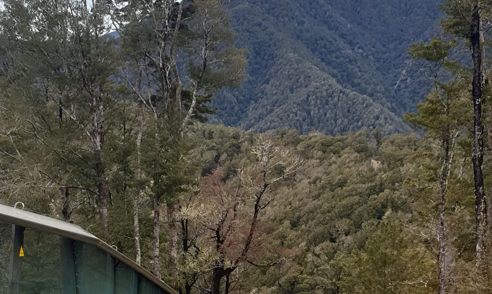 The Brook Fenceline, Nelson