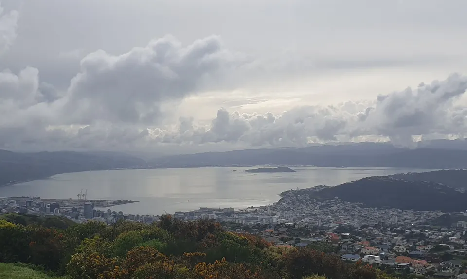 Sanctuary Fenceline, Wellington